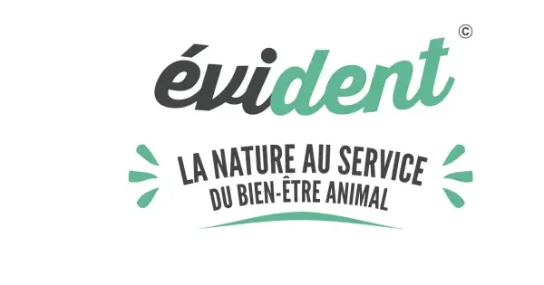 Illustration représentant le logo du partenaire Evident.